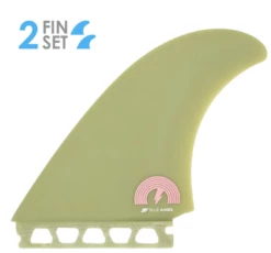 True Ames Album Gemini Twin 5.45" New Surfboard Twin Fin Set - Futures